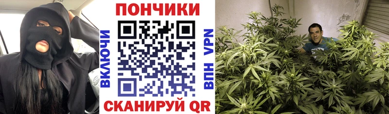 Купить закладку Каннабис МЕФ Alpha PVP Гашиш Суздаль
