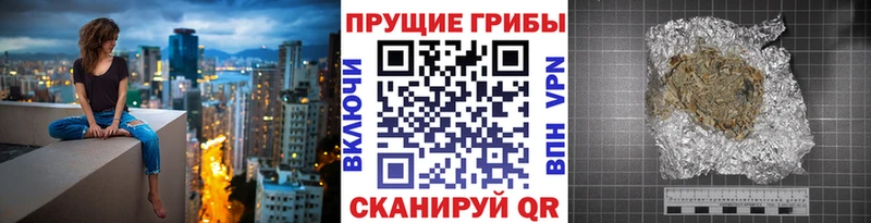 Купить где Суздаль Псилоцибиновые грибы Magic Shrooms